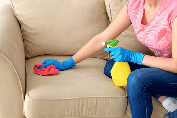 Cleaning the sofa upholstery