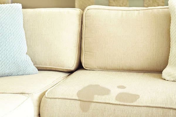 Urine stains on the couch