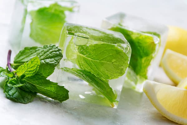 Mint and lemon in ice tins