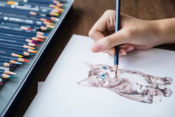Rysowanie kotka z kolorowymi ołówkami
