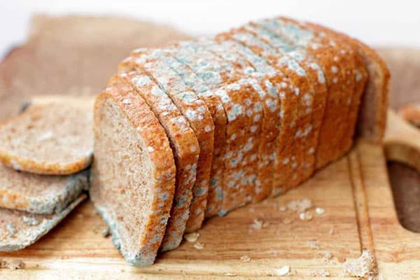 Penészes kenyér