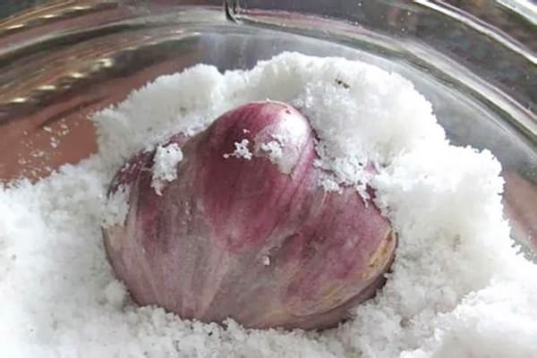 Head of garlic in salt