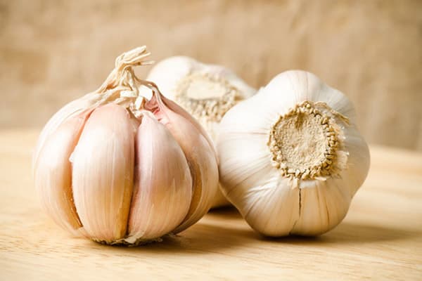 Heads of garlic