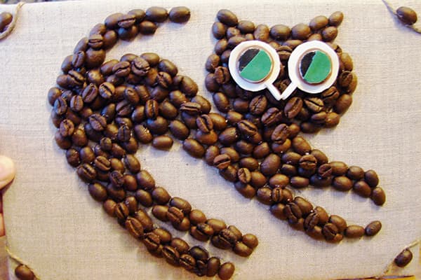 Coffee Bean Panel