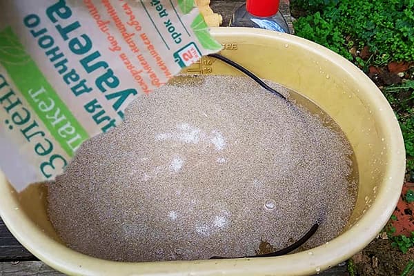 Biological product for cleaning septic tanks