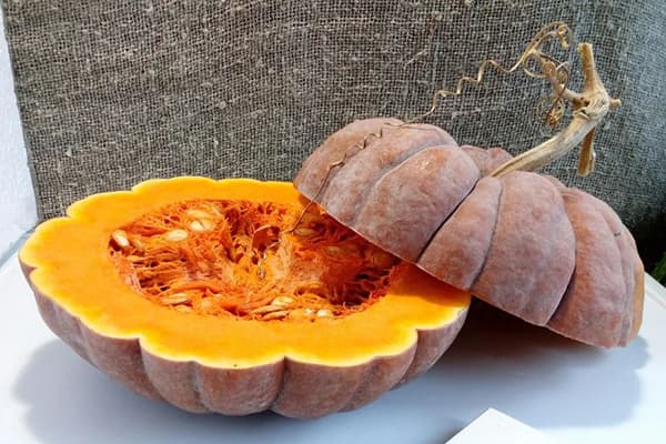 Cut ripe pumpkin
