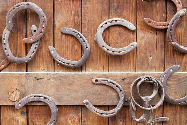Horseshoes on the stable door